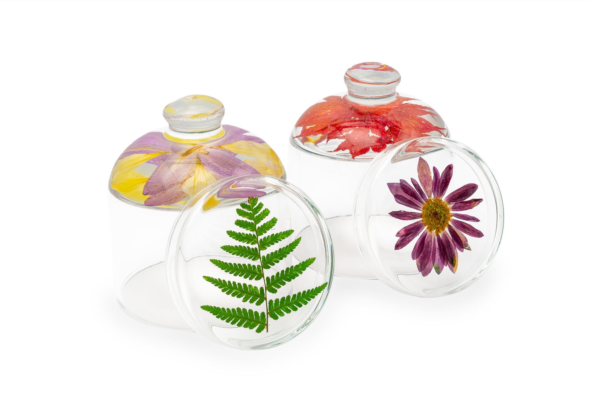 Botanicandle 2