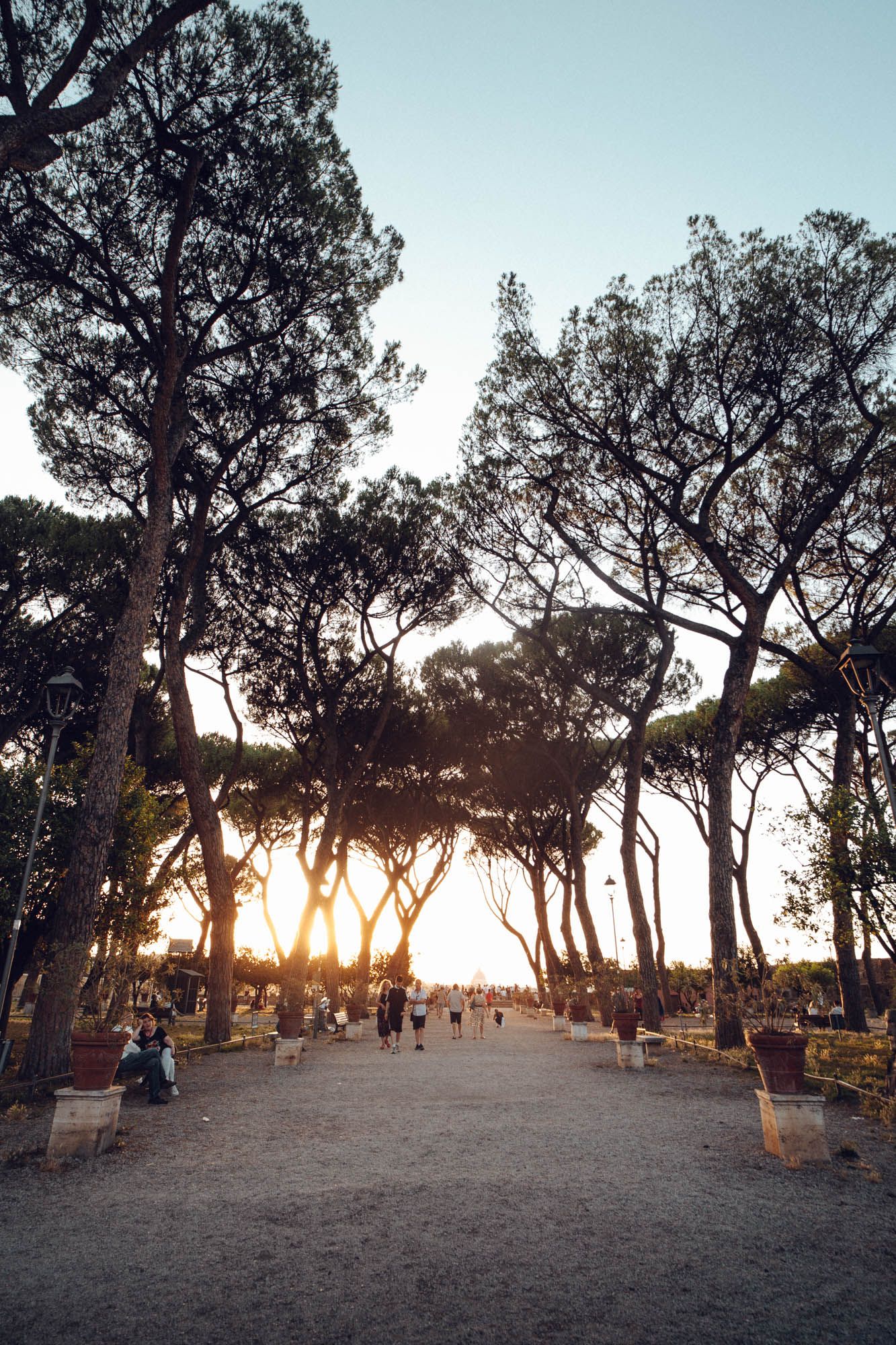 Rome 7